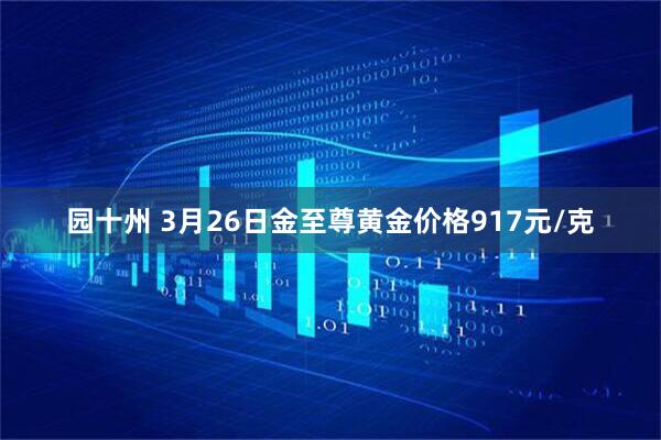 园十州 3月26日金至尊黄金价格917元/克