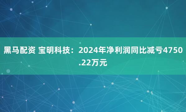 黑马配资 宝明科技：2024年净利润同比减亏4750.22万元