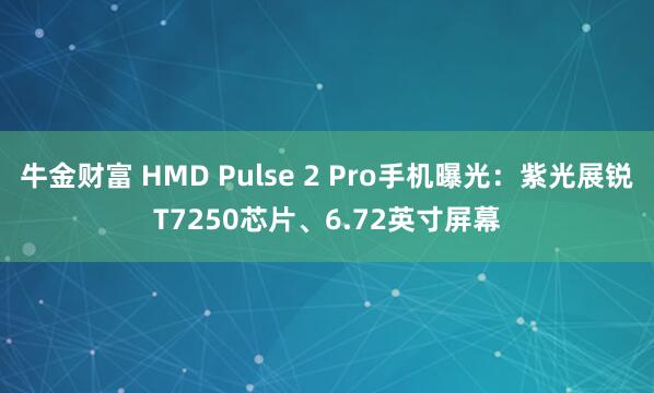 牛金财富 HMD Pulse 2 Pro手机曝光：紫光展锐T7250芯片、6.72英寸屏幕